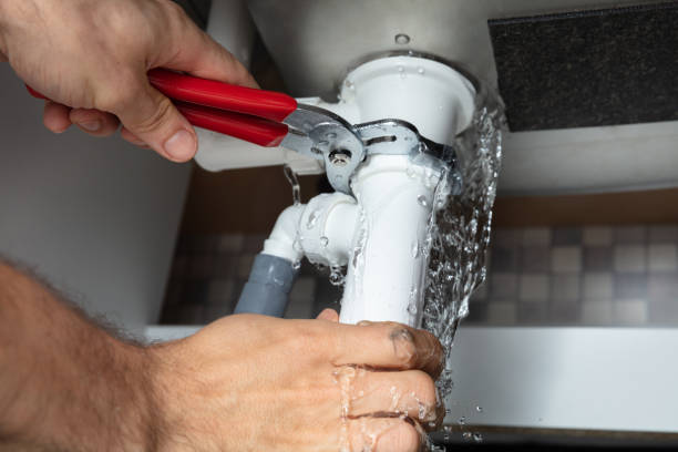 Best Ceiling water damage repair  in Poplar Bluff, MO