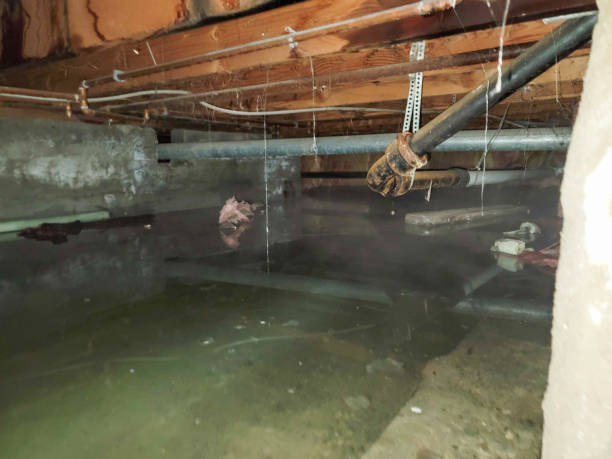 Fire Damage Restoration in Poplar Bluff, MO
