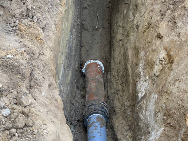 Best Professional water damage repair  in Poplar Bluff, MO