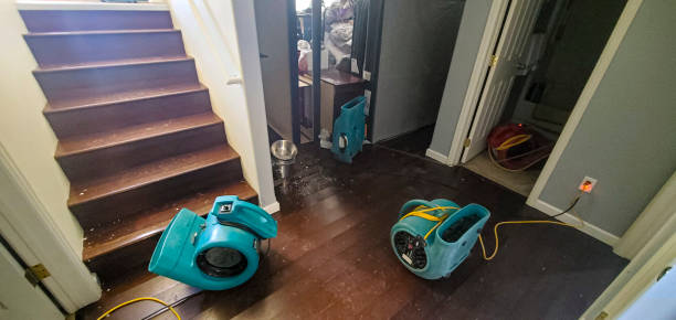 Best Emergency water damage restoration  in Poplar Bluff, MO