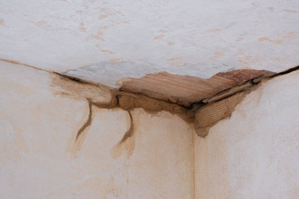 Water damage restoration mold remediation in Poplar Bluff, MO