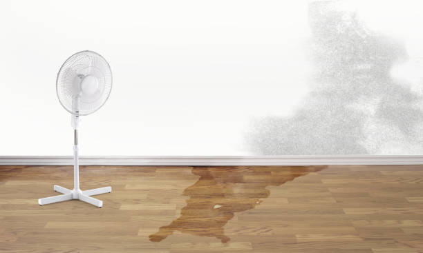 Trusted Poplar Bluff, MO Water damage restoration Experts