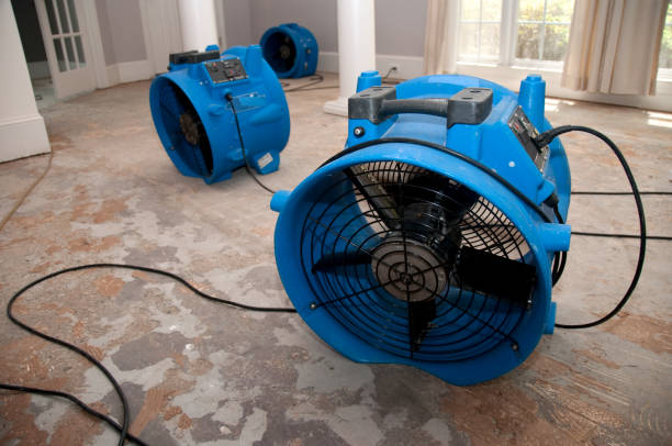 Best Water damage restoration near me  in Poplar Bluff, MO