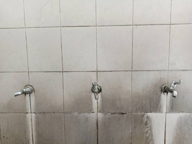 Best Fire Damage Restoration  in Poplar Bluff, MO