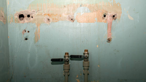 Best Fire Damage Restoration  in Poplar Bluff, MO